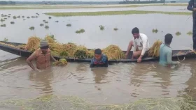 ১৮ হাজার কৃষক নিঃস্ব, ক্ষতি প্রায় ৪৫ কোটি টাকা