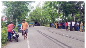 ঢাকা-বরিশাল মহাসড়কে বাসের ধাক্কায় দাদি-নাতনি নিহত