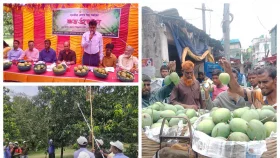 সাতক্ষীরায় আম মৌসুমের বর্ণাঢ্য সূচনা