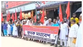 কলাপাড়ায় ধানের লাভজনক দামসহ নানা দাবিতে কৃষক সমাবেশ