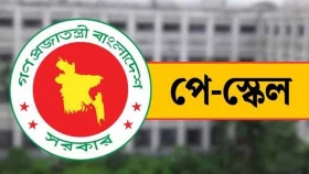 নতুন পে স্কেলের প্রথম ধাপে গুরুত্ব পাবেন যারা