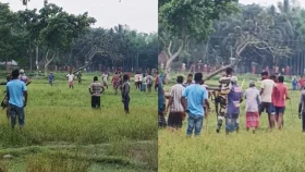 সীমান্তে গরু চুরি করতে এসে ধাওয়া খেল বিএসএফ