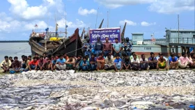 হাতিয়ায় ৩৭ লাখ টাকার মাছ জব্দ, ৪৫ জেলে আটক