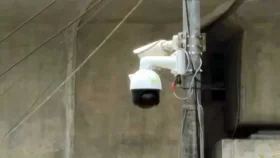 পুলিশ নেই তবুও সিগন্যালে থামছে গাড়ি!
