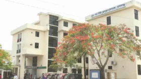 গোপালগঞ্জে ট্রাক চাপায় যুবক নিহত