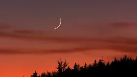 তুরস্ক ও তিউনিসিয়ায় ঈদুল আজহা ২৭ মে
