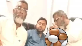 ডিমের টাকা ভাগাভাগি ঘটনায় তদন্ত কমিটি গঠন