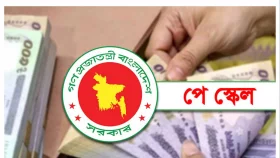 যেভাবে কার্যকর হতে পারে নতুন পে-স্কেল, মিলল নতুন তথ্য
