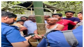 মেয়েকে ধর্ষনের অভিযোগে বাবা আটক
