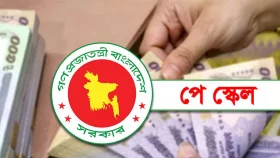 নতুন পে স্কেলে কার লাভ কতটুকু?