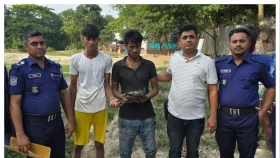 বাঙ্গরায় গাঁজাসহ ২ মাদক কারবারি গ্রেপ্তার