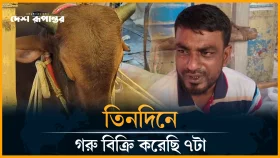 কতটা জমে উঠেছে গাবতলী পশুর হাট?