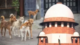 পাগল-জ্বলাতঙ্কগ্রস্ত কুকুর মারতে সুপ্রিম কোর্টের নির্দেশ