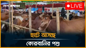 তেজগাঁও শিল্প এলাকায় জমে উঠছে কোরবানির পশুর হাট