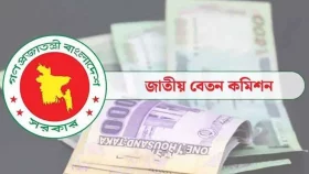 নবম পে-স্কেল: কাটছাঁটের পরেও লাগছে যত টাকা?