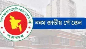 আধা-স্বায়ত্তশাসিত প্রতিষ্ঠানের কর্মীদেরও ভাগ্য খুলছে নবম পে স্কেলে