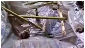 কুড়িগ্রামে দাফনের পর কবর থেকে লাশ চুরির চেষ্টা