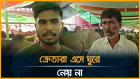 এবার খরচ বেশি, তাই গরুর দামও বেশি