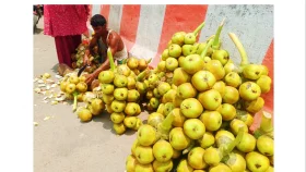দুমকিতে তালের শাঁসে মিলছে গরমের স্বস্তি