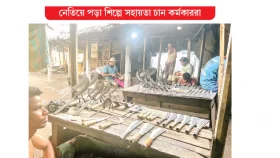 চট্টগ্রামের আনোয়ারায় মুখর কামারপট্টি