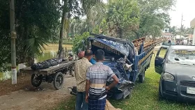 ফার্নিচারবাহী পিকআপের চাকা ফেটে দুর্ঘটনা, প্রাণ হারালেন হেল্পার