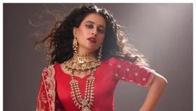 ঢাকায় আসছেন শাকিবের নায়িকা সুনিধি&nbsp;