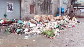 রাজধানীতে এখনও পড়ে আছে কোরবানির বর্জ্য