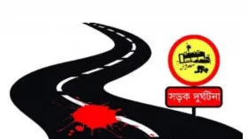 ঝিনাইদহে পৃথক সড়ক দুর্ঘটনায় দুইজন নিহত