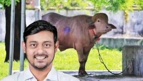 মহিষ &lsquo;ডোনাল্ড ট্রাম্প&rsquo; নিয়ে যা বললেন নাসীরুদ্দীন পাটওয়ারী
