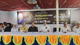 আমাদের লক্ষ জিয়ার দরকার নেই, একজন প্রকৃত জিয়াই যথেষ্ট: ডেপুটি স্পিকার