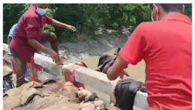 চামড়া বিক্রি না হওয়ায় নদীতে ফেলে ক্ষোভ প্রকাশ ব্যবসায়ীদের