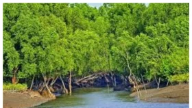 জুন থেকে ৩ মাস নিষিদ্ধ সুন্দরবন প্রবেশ, দুর্ভোগে বনজীবীরা