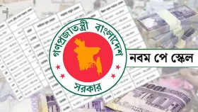 নবম পে-স্কেল বাস্তবায়ন হলে কি বেসরকারি কোম্পানিগুলো বেতন বাড়াবে?