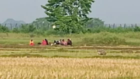 বেনাপোল সীমান্তে পুশইনের উদ্দেশ্যে জড়ো করা নারী-পুরুষদের সরিয়ে নিয়েছে ভারত