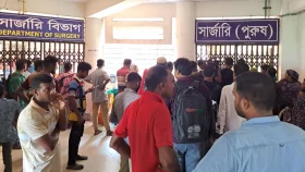 সাতক্ষীরায় বিএসএফের গুলিতে ২ বাংলাদেশি আহত