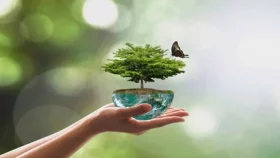 আজ বিশ্ব পরিবেশ দিবস