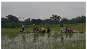 পঞ্চগড় সীমান্তে ৩৪ ঘণ্টা ধরে আটকে ১০ জন