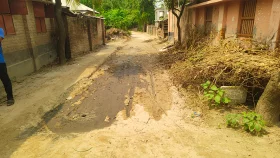 সরকারি পুরোনো রাস্তার ইট উঠিয়ে নতুন রাস্তা নির্মাণের অভিযোগ, ক্ষুব্ধ এলাকাবাসী