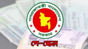 নতুন পে স্কেলে বেতন বাড়বে দ্বিগুণ থেকে আড়াইগুণ