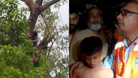 নেত্রকোনায় পাখির বাচ্চা ধরতে গিয়ে গাছে আটকে গেল কিশোরের হাত