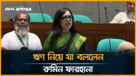 অর্থমন্ত্রী কিভাবে বাজেট বাস্তবায়ন করবেন, প্রশ্ন রুমিন ফারহানার