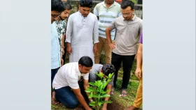 বাজেটকে স্বাগত জানিয়ে ঢাবিতে ছাত্রদলের বৃক্ষরোপণ কর্মসূচি