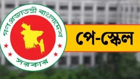 পে স্কেল: সরকারি চাকরিজীবীদের নতুন সমীকরণ