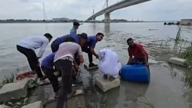 দুমকিতে অবৈধ ৪৩ ড্রাম চিংড়ির রেনু জব্দ, নদীতে অবমুক্ত