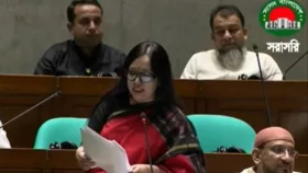 মফিজের সুইমিংপুলের স্বপ্ন দেখার মতো বাজেট