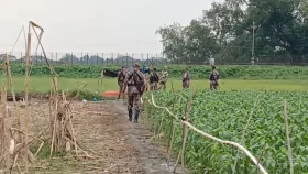 ৬ দিন ধরে শূন্যরেখায় পাঁচ যুবকের মানবেতর জীবন-যাপন&nbsp;