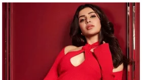 সত্যি কি অন্তঃস্বত্ত্বা সামান্থা? জানা গেল আসল সত্য