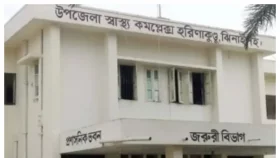 আধিপত্য বিস্তারে বিএনপি-আ. লীগ সমর্থকদের সংঘর্ষ, আহত ১৮