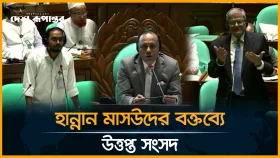 প্রধানমন্ত্রীকে নিয়ে হান্নান মাসউদের বক্তব্যে ক্ষুব্ধ বিএনপি