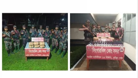 সীমান্তে বিজিবির অভিযানে ভারতীয় গাঁজাসহ বিপুল পরিমাণ মাদক জব্দ